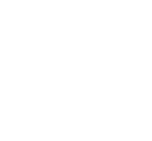 Южный Федеральный Университет